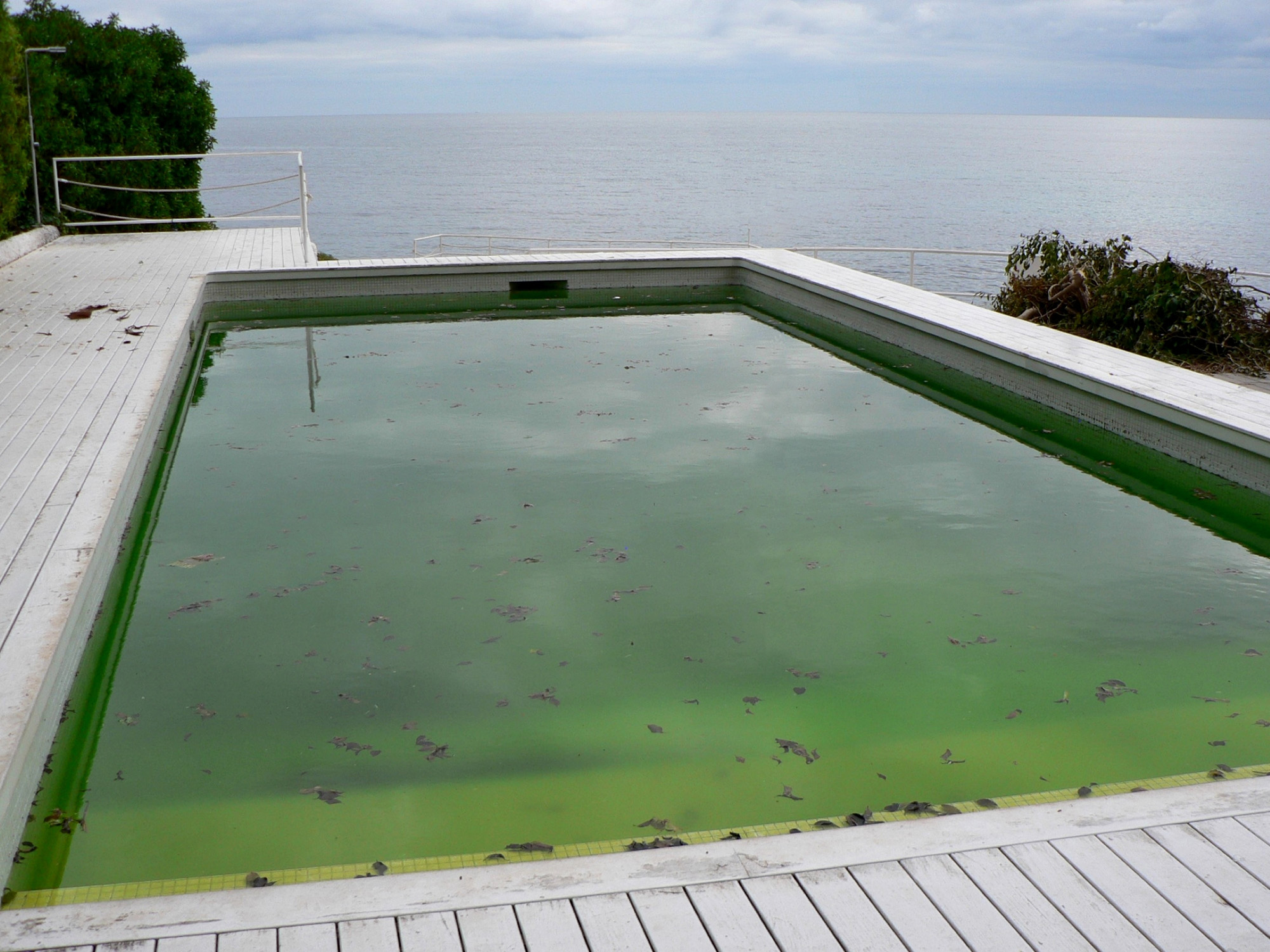 Algues dans la piscine, des moyens existent