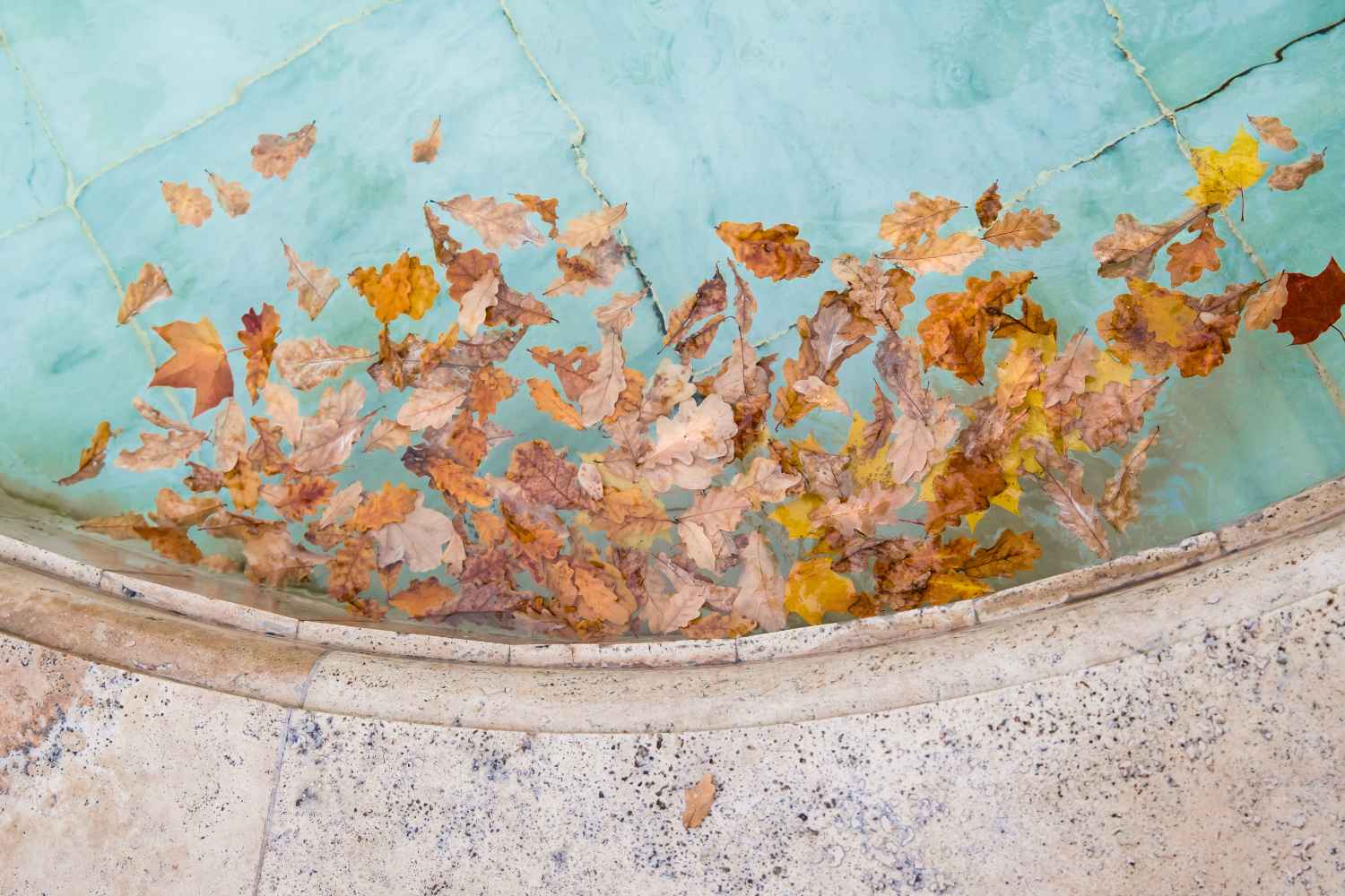 piscine en automne